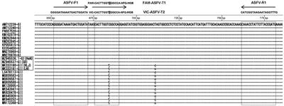 A duplex fluorescent quantitative PCR assay to distinguish the genotype I and II strains of African swine fever virus in Chinese epidemic strains